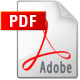 pdf-icon